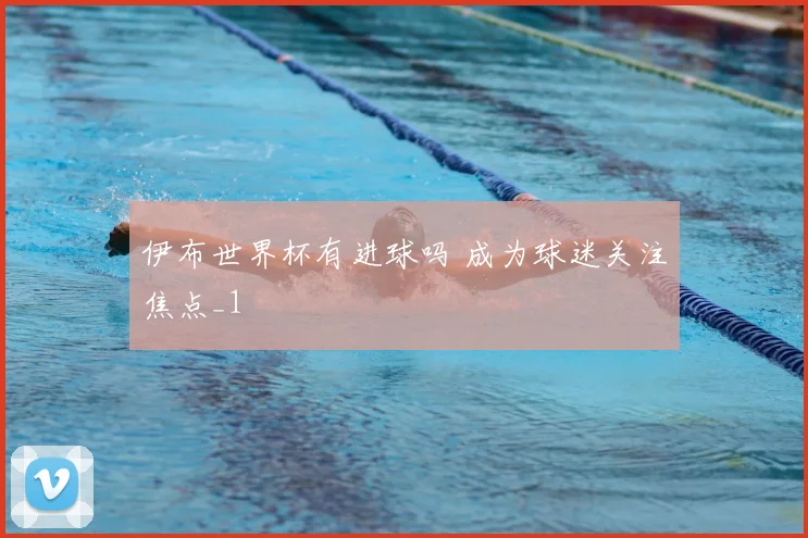 伊布世界杯有进球吗 成为球迷关注焦点_1