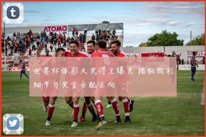 世界杯体彩大奖得主曝光 揭秘购彩细节与奖金分配去向
