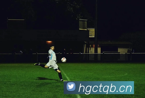 华体网app登录入口服务体系